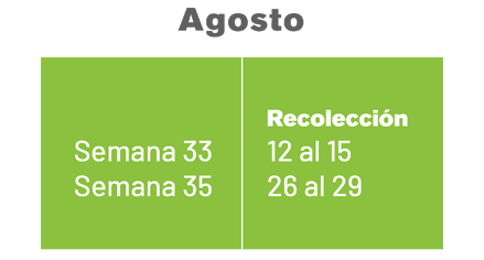 AGOSTO AGOSTO