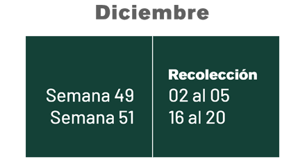 DICIEMBRE DICIEMBRE