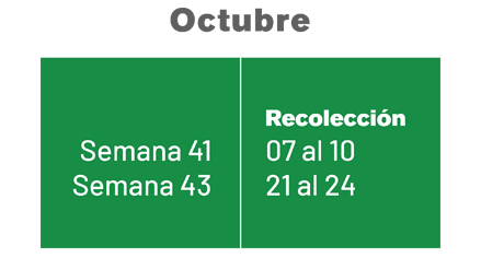 OCTUBRE OCTUBRE