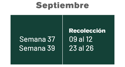 SEPTIEMBRE SEPTIEMBRE