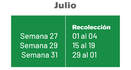 julio julio